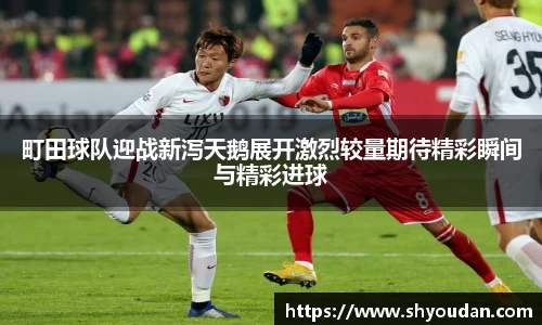 町田球队迎战新泻天鹅展开激烈较量期待精彩瞬间与精彩进球