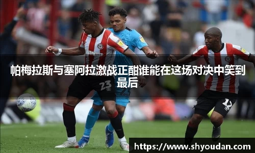 帕梅拉斯与塞阿拉激战正酣谁能在这场对决中笑到最后