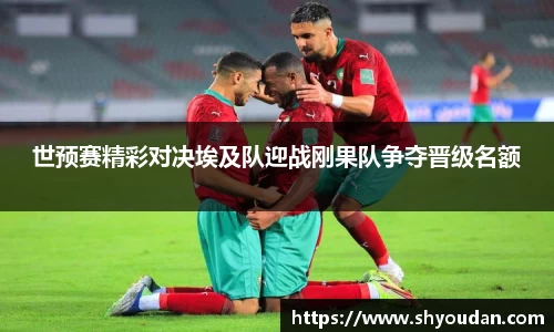世预赛精彩对决埃及队迎战刚果队争夺晋级名额