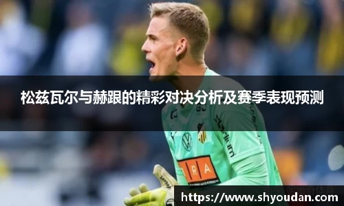 松兹瓦尔与赫跟的精彩对决分析及赛季表现预测